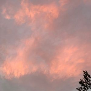 Meet your Posher, Nidia